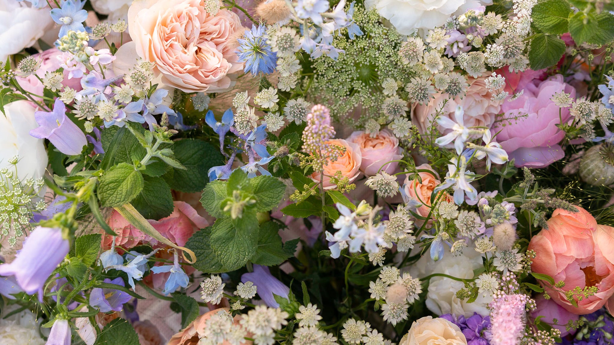Meadow flowers by Rosanna Falconer