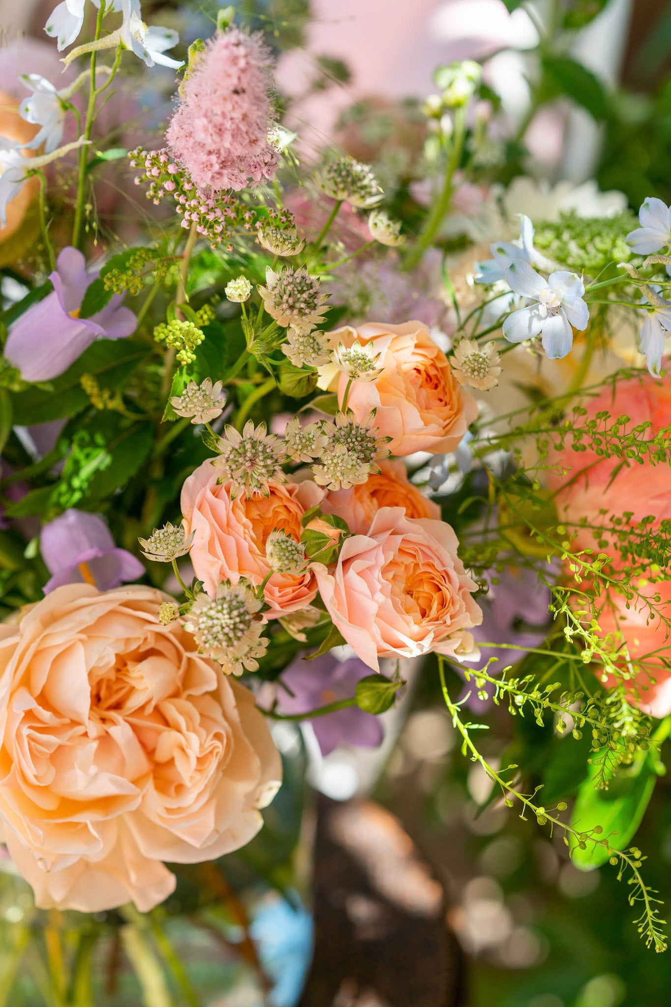 Spring flowers by Rosanna Falconer