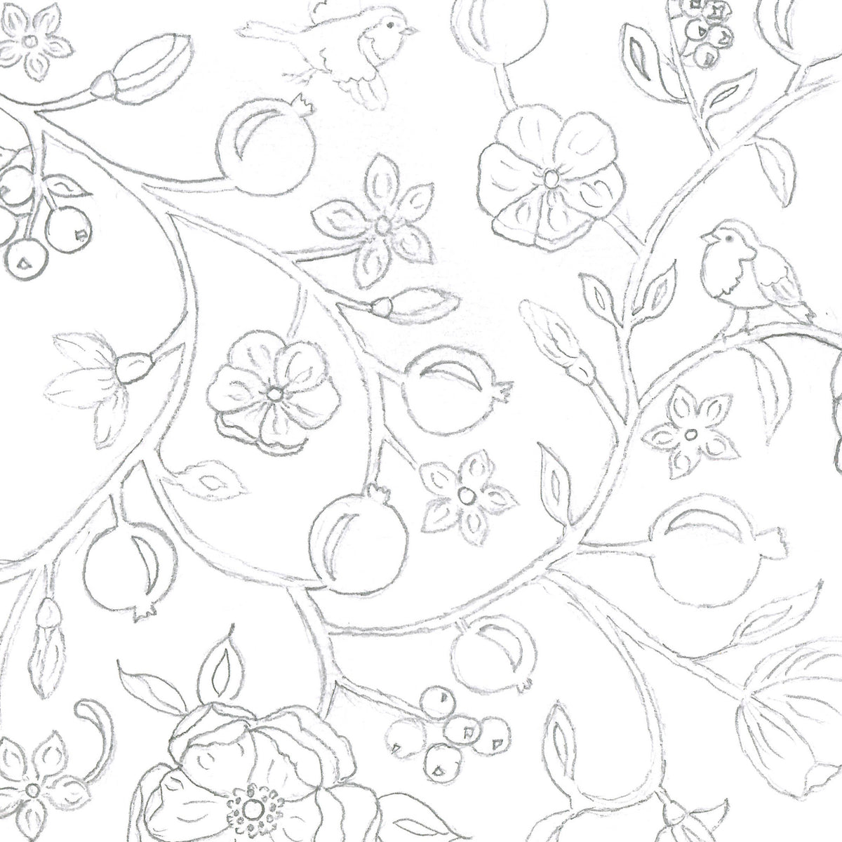 Sketch of Pomegranate Dance print