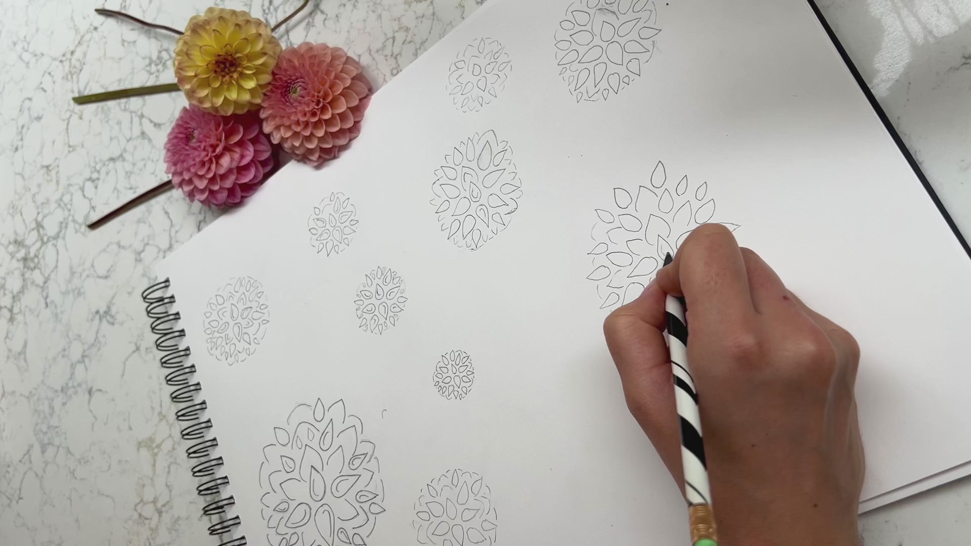 Drawing dahlias on sketch pad in pencil